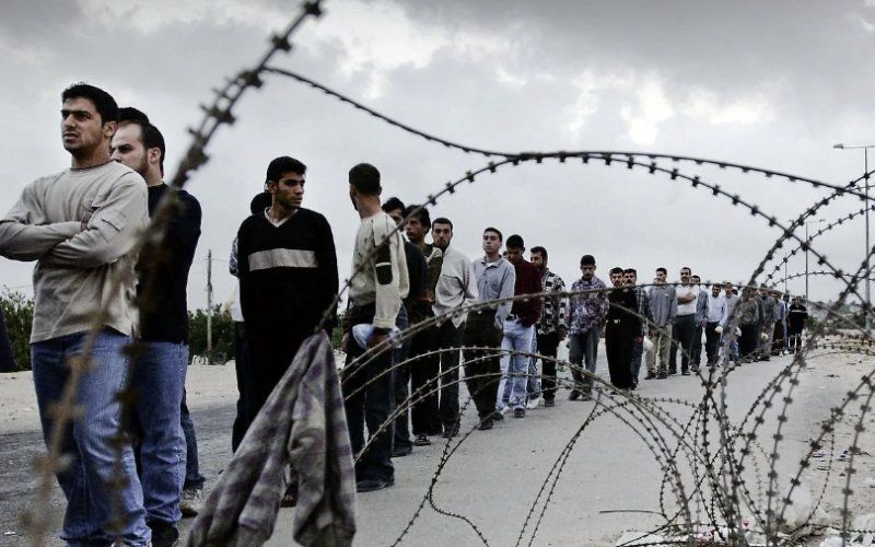 في اليوم العالمي للصحة المهنية.. 74 شهيدًا من عمال فلسطين خلال 2025
