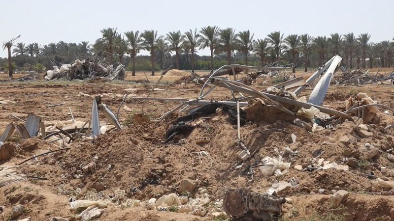 القطاع الزراعي في غزة .. دمار شامل نتيجة حرب الإبادة