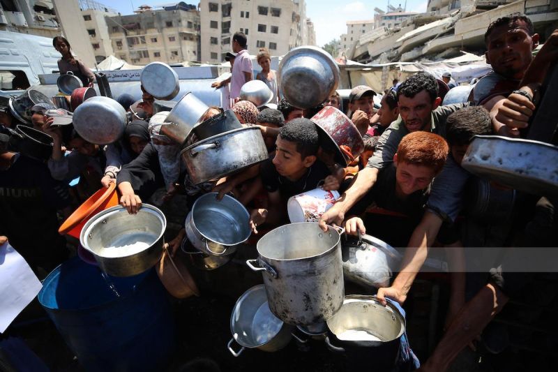 مقررة أممية تحذر من تفاقم انعدام الأمن الغذائي في غزة