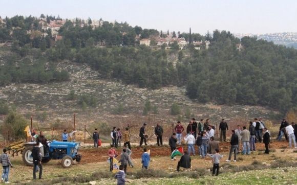 مستوطنون يهاجمون مزارعين فلسطينيين في القدس وبيت لحم