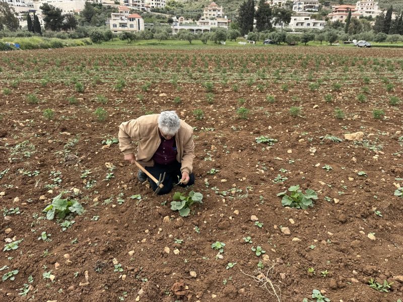 “أنظر إليها ولا أصلها”.. مزارع يفقد 70% من أرضه بفعل إرهاب المستوطنين