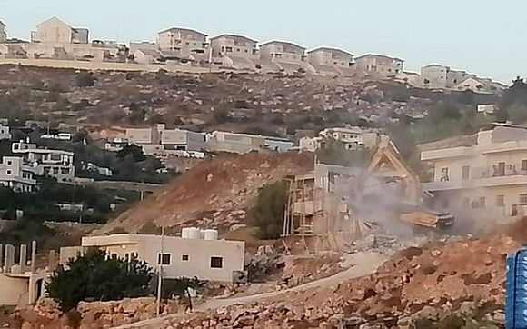 مستوطنون يهدمون مساكن زراعية ويتلفون محاصيل ويسرقون عشرات الأغنام