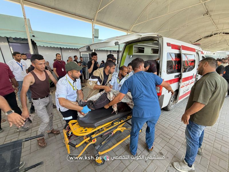 الصحة: 12 شهيدًا و12 جريحا بغزة في 24 ساعة