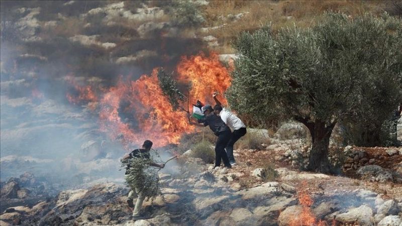 مستوطنون يشعلون النيران في بيت لحم ويهاجمون الأهالي في الخليل ورام الله