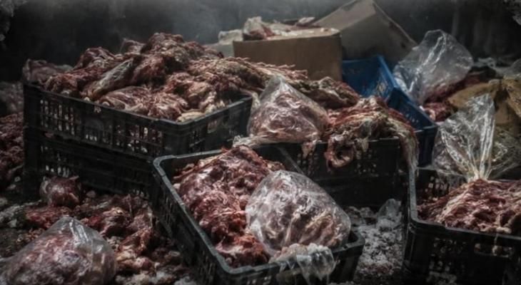 انقطاع الكهرباء يعمق الأزمة.. إتلاف طنين لحوم بيضاء ومجمدات فاسدة بغزة