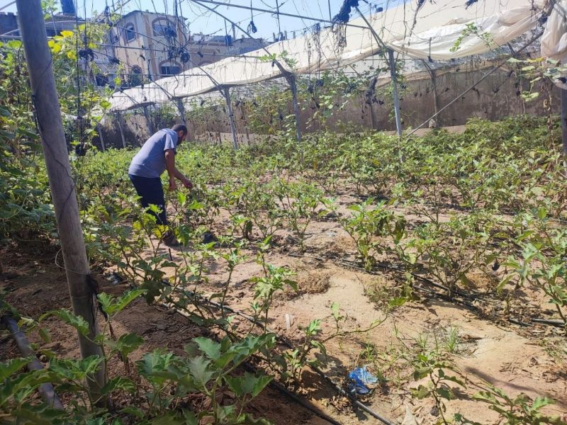 زراعة الوسطى تنفذ جولات ميدانية لرصد واقع المزارعين وتحديات القطاع
