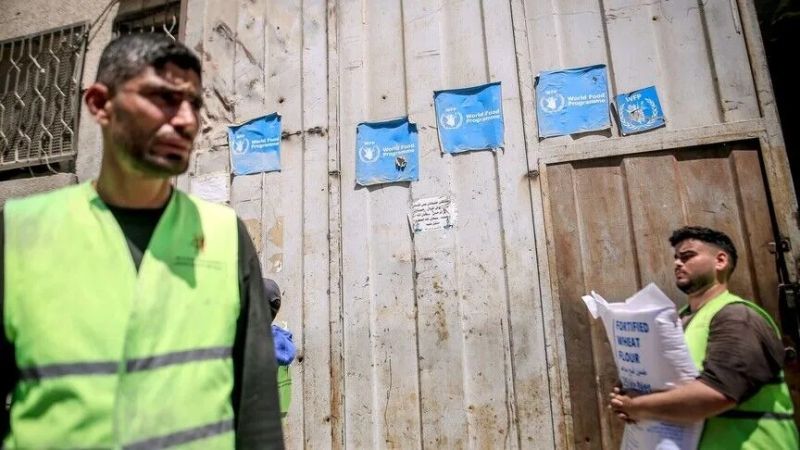 19 خبيرًا أمميًا ينتقدون فاو بعد إبعاد مسؤول عارض تجويع غزة ويرفضون ترهيب الموظفين