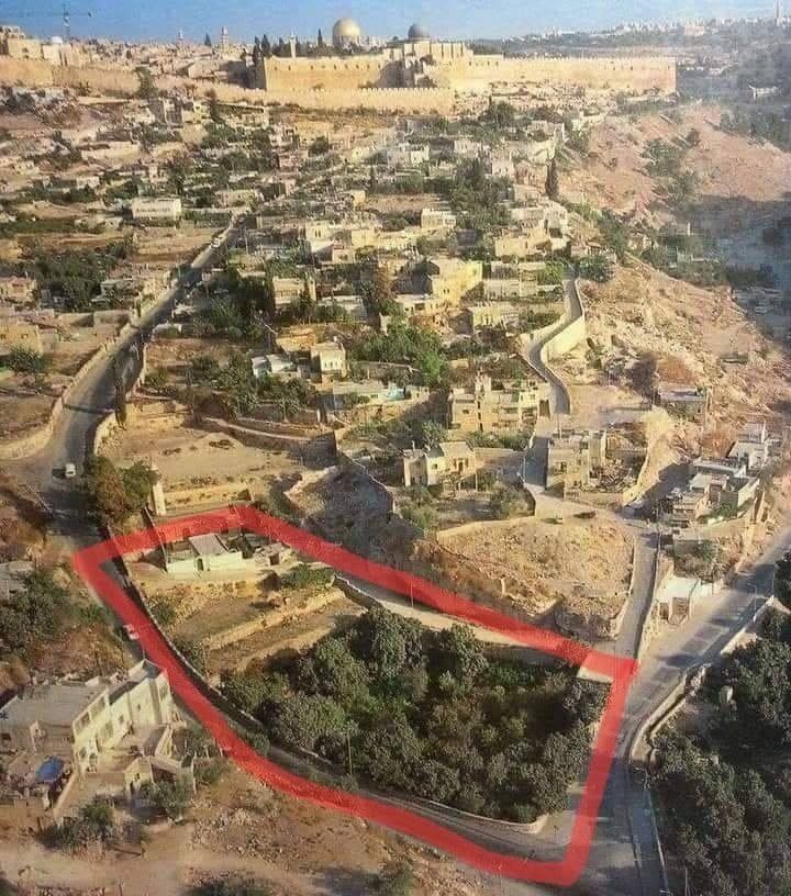 تحذيرات من تصعيد استيطاني يستهدف تفريغ حي البستان من سكانه وتغيير طابعه الديمغرافي