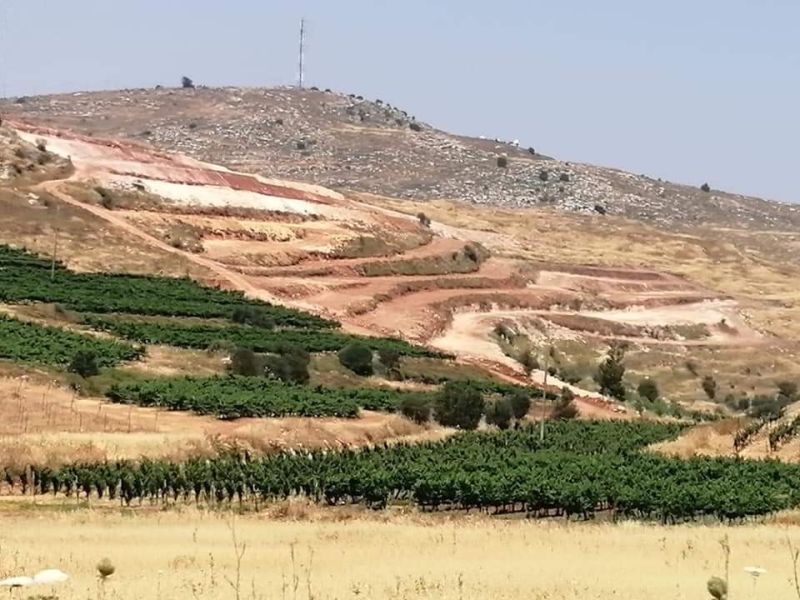 “فتيات التلال”.. حين تتحول الخيمة إلى مشروع استيطاني بالضفة