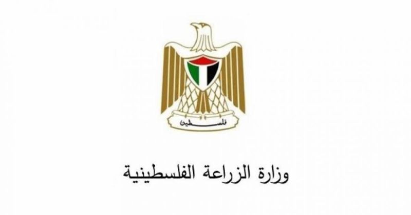 الزراعة تحصن أكثر من 14 ألف رأس ماشية ضد الحمى القلاعية