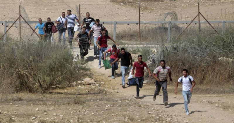 الاحتلال يعتدي بالضرب على عدد من العمال ويعتقلهم عند حاجز العيسوية