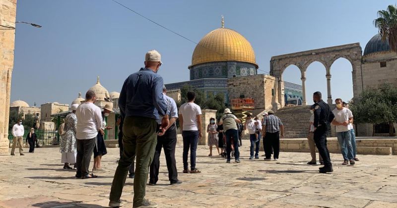 القدس : 240 مستوطنا يقتحمون المسجد الأقصى