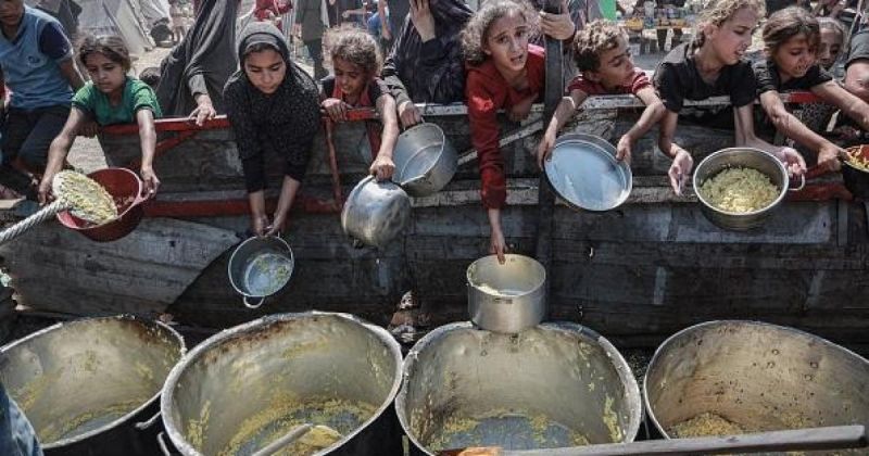 وزيرة التنمية: غزة الأعلى تكلفة طعام بالمنطقة و77% يواجهون مجاعة حقيقية