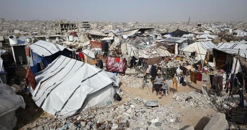 خطة أممية شاملة لمكافحة القوارض والحشرات في غزة قريباً