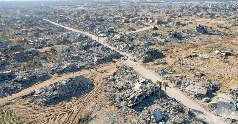 صالحة يحذر: "رفح الخضراء" تهجير جديد يستنسخ مأساة تجويع غزة