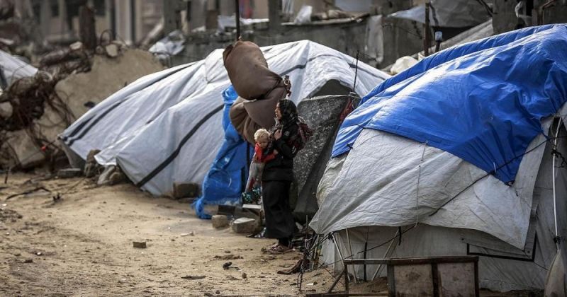 نحو 4 آلاف حالة إجهاض في غزة خلال 6 أشهر وسط ظروف معيشية وصحية صعبة