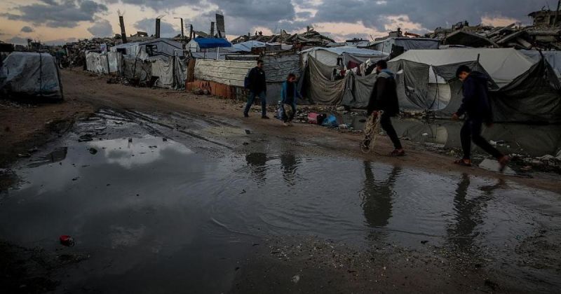 طقس فلسطين: أجواء باردة وفرص لسقوط أمطار خلال الأيام القادمة