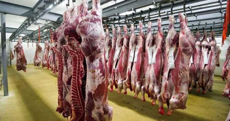 "التنمية" بغزة تصدر بياناً بشأن آليات توزيع المساعدات ولحوم الأضاحي