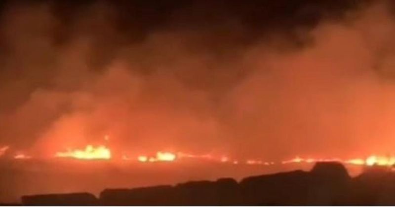 مستوطنون يعتدون على المواطنين ويحرقون أراضي زراعية في نابلس