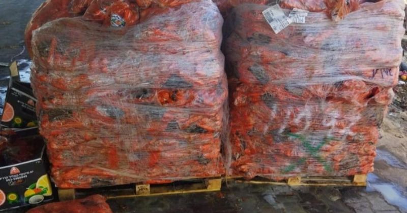 "مباحث التموين" بخانيونس تتلف 1300 كغم من الجزر الفاسد