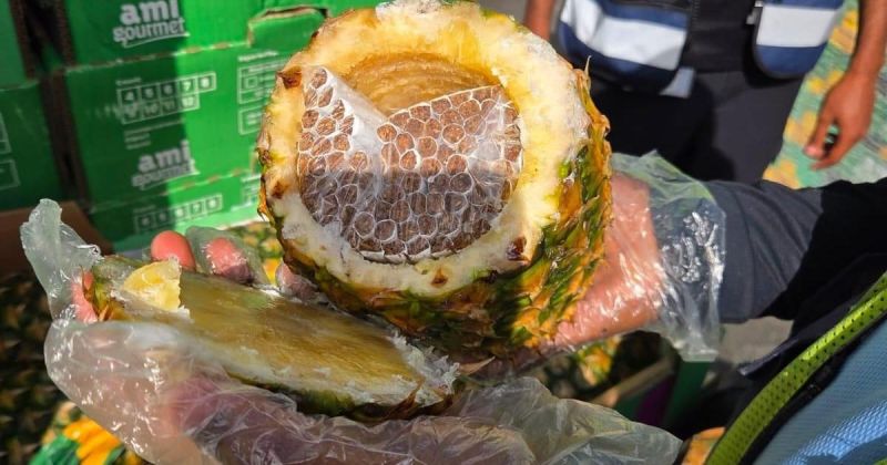 إسرائيل تعلن إحباط تهريب سجائر لغزة داخل شحنة "أناناس"