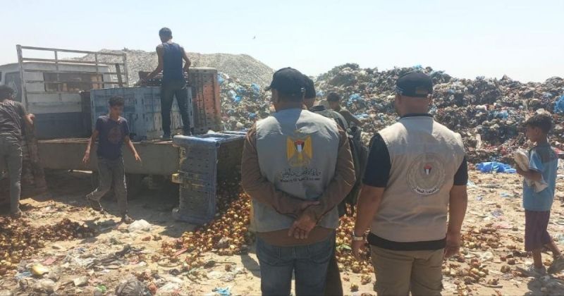 مباحث التموين برفح تُتلف أكثر من 3 أطنان من البصل الفاسد
