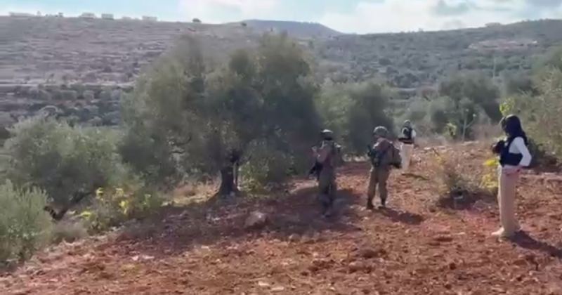 مستوطنون يهاجمون المزارعين في بيتا جنوب نابلس 