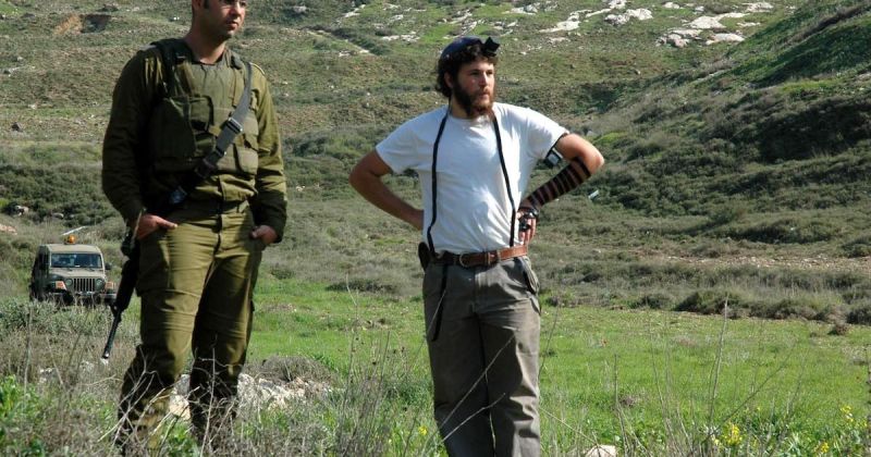 الاحتلال يصدر أوامر بإزالة أشجار والاستيلاء على أراضٍ في جنين
