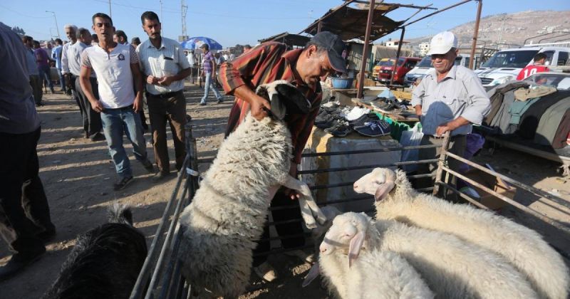 غزة بلا أضاحي للعام الثالث بسبب الحرب والحصار الإسرائيليين