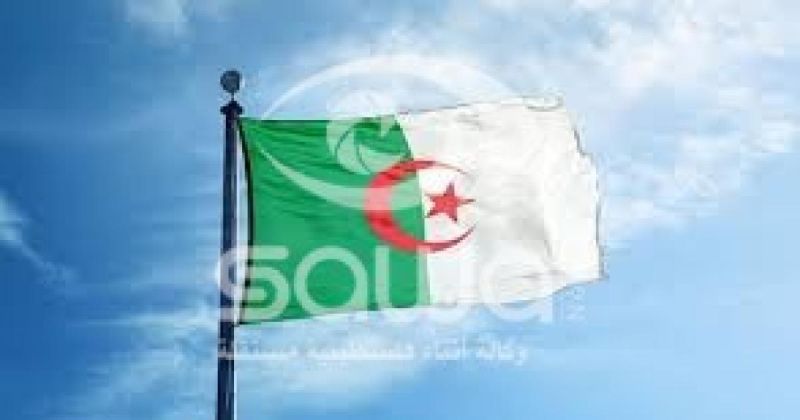 مواعيد مباريات الجزائر في كأس العالم 2026.. جدول المبارايات والقنوات الناقلة