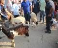 غزة.. حين تصبح الحياة نفسها هدفًا للحرب