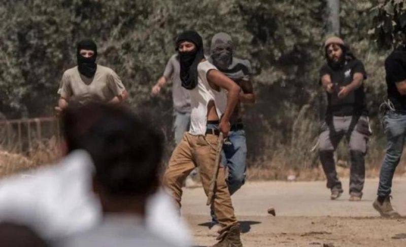 مستوطنون يهاجمون قرية دوما ويجرفون طريقًا جنوب نابلس