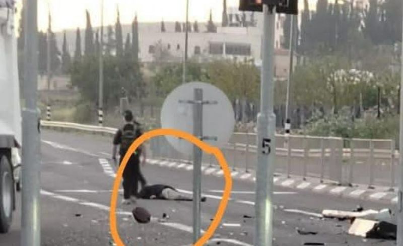 استشهاد فتى بعد أن دهسه مستوطن بالخليل وسيدة متأثرة بجراحها في جنين