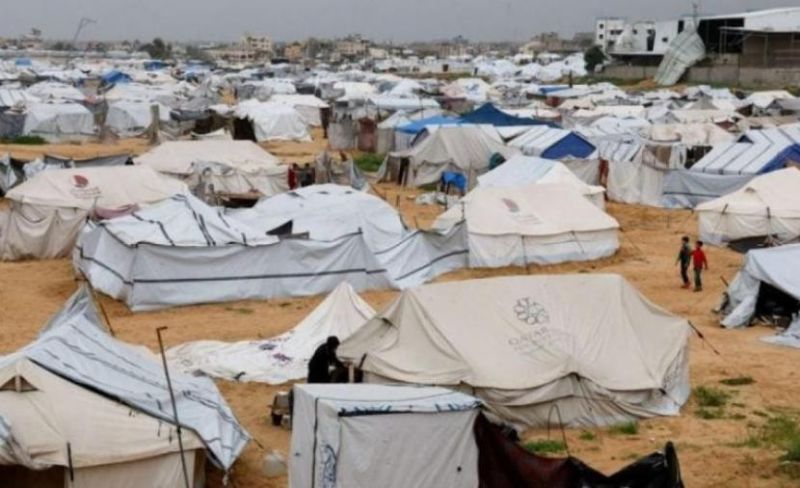 الأونروا: الجرذان تعض أطفال غزة أثناء نومهم في الخيام