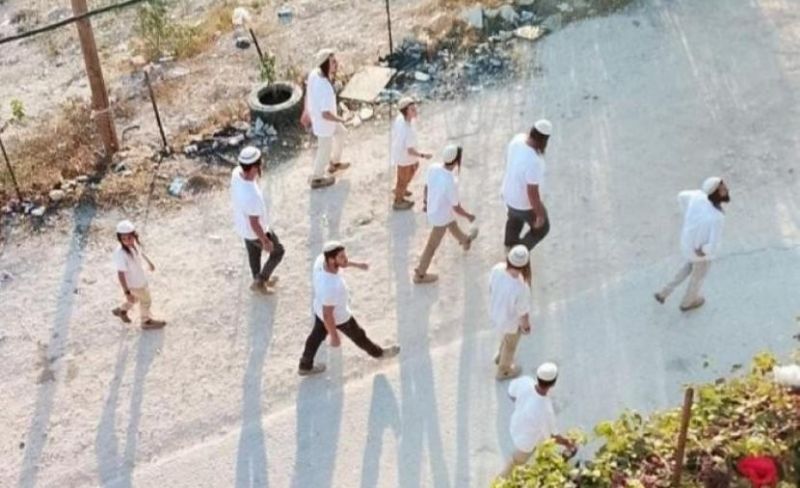 عشرات المستوطنين يقتحمون بلدة سلوان