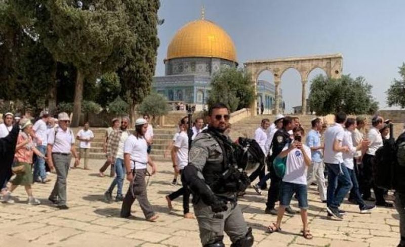 أكثر من 1489 مستوطنًا يقتحمون الأقصى خلال الأسبوع الماضي