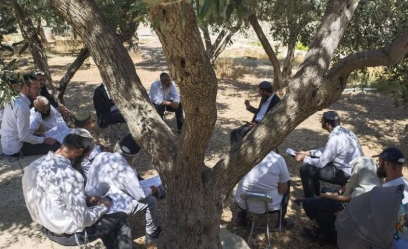 حماس: طقوس المستوطنين في الأقصى عدوان على هوية الأمة