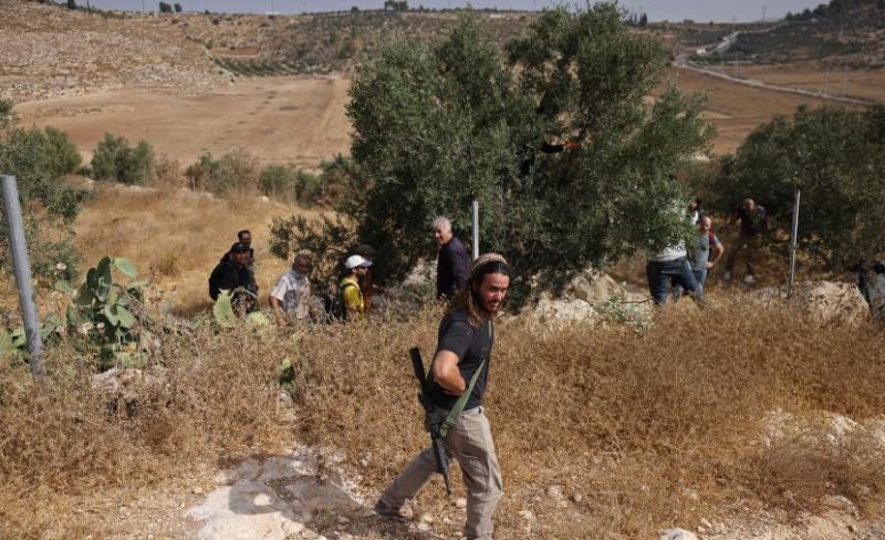 إرهاب المستوطنين في الضفة يحوّل موسم قطف الزيتون إلى مأساة