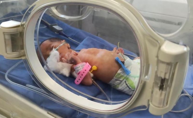 نحو 17 ألف مولودا جديدا و915 وفاة بقطاع غزة خلال الربع الثالث من العام