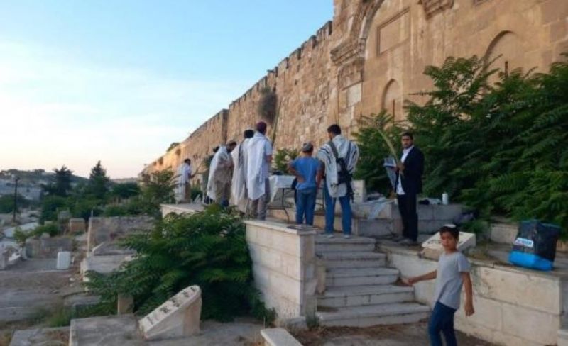 مستوطنون يقتحمون مقبرة باب الرحمة المحاذية للمسجد الأقصى
