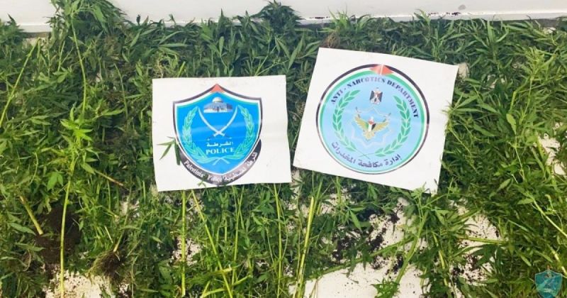 الشرطة:  ارتفاع ملحوظ في جهود مكافحة المخدرات ومروّجيها خلال عام 2025