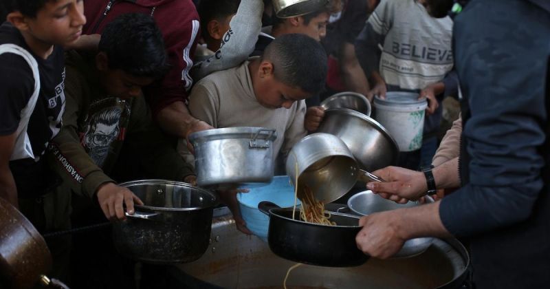 منظمة الصحة العالمية تسجل أكثر من 17 ألف إصابة مرتبطة بالقوارض في قطاع غزة