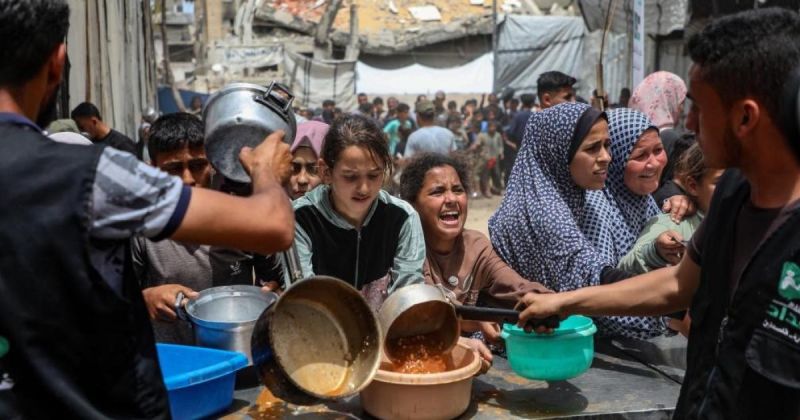 غزة بلا أضاحٍ للعام الثالث: الغرفة التجارية تحذر من انهيار الثروة الحيوانية وتحول أزمة المعابر إلى تهديد للأمن الغذائي