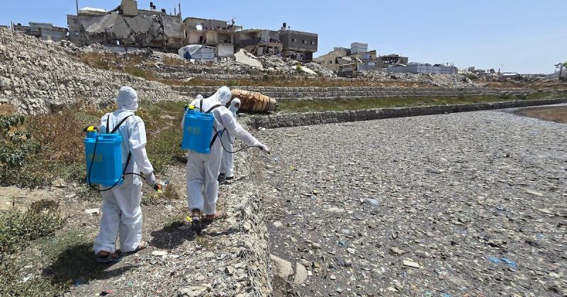 بلدية غزة تطلق حملة لرش المبيدات قرب بركة الشيخ رضوان وسط تدهور بيئي وصحي