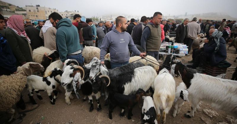 اللجنة الرئاسية للمساعدات تنفذ حملة "معاً نضحي" في بلدات عطارة وبني زيد الغربية شمال رام الله