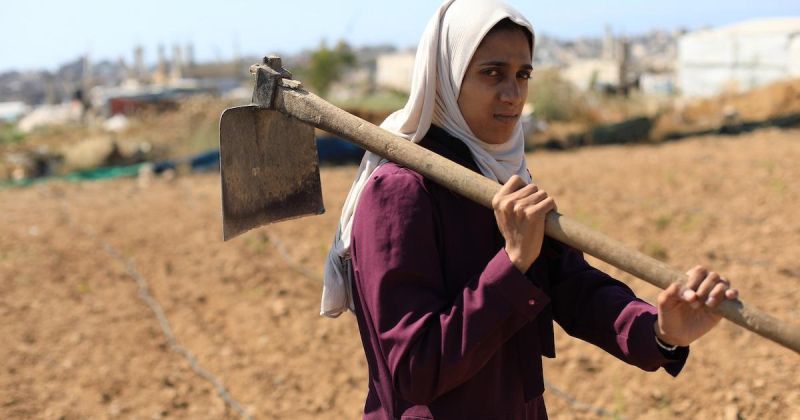 غزة: شابة فلسطينية تزرع أرض والدها لتُعيل أسرتها بعد الحرب
