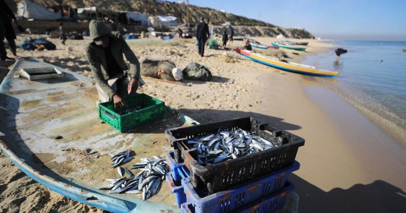 تواجه مهنة الصيد في غزة تحديات متزايدة