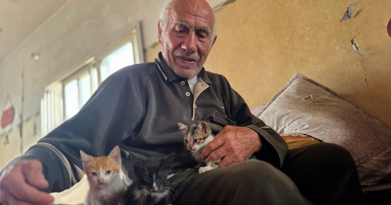 من نكبة بيت دراس إلى ركام خان يونس: عبد الرحمن أبو شمالة يستعيد ذاكرة النزوح بعد 78 عاماً