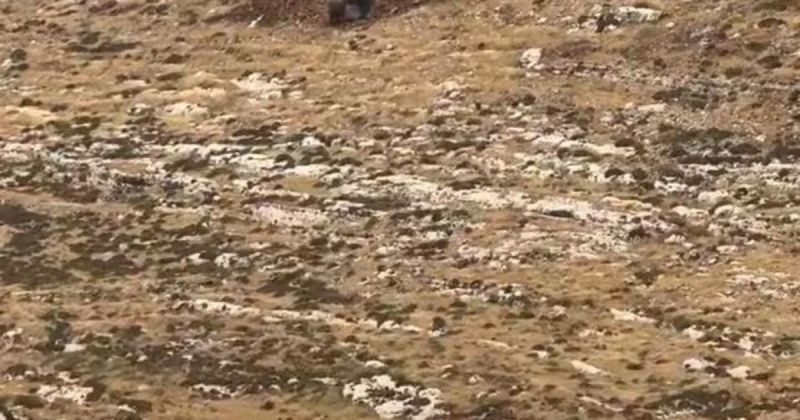 القدس: اقتحامات للأقصى واعتقالات وإغلاقات ومشروع استعماري جديد شمال المدينة