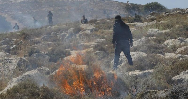 في خربة حمصة.. الأهالي يدافعون عن أرضهم في وجه التوسع الاستيطاني